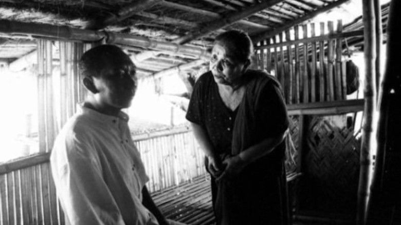 кадр из фильма Эволюция филиппинской семьи