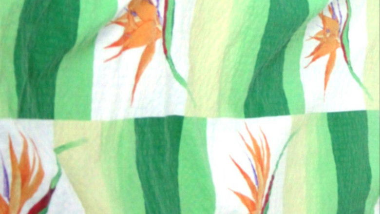 кадр из фильма Milostné písně