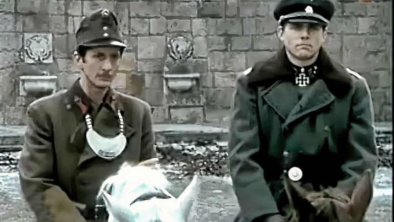 кадр из фильма Appassionata