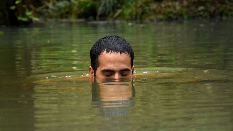 кадр из фильма Зла не существует