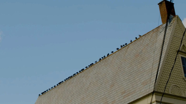 кадр из фильма An Autumn Holiday: America, 2024