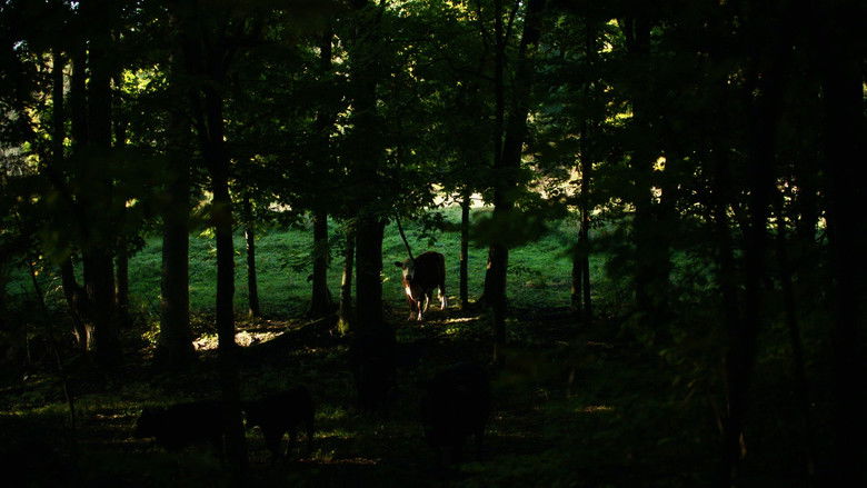 кадр из фильма The Human Hibernation