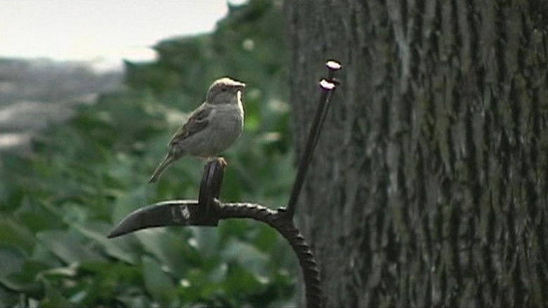 кадр из фильма Quietly On By