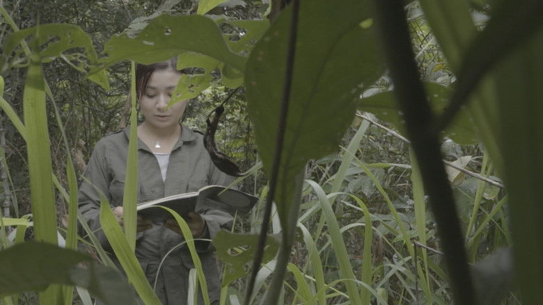 кадр из фильма Un Nuevo Amanecer