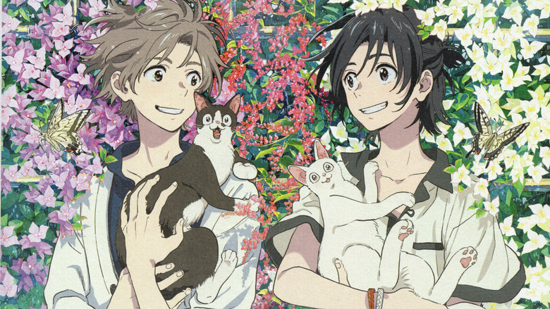 кадр из фильма 海辺のエトランゼ