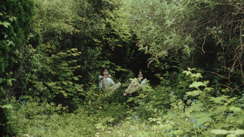 кадр из фильма My Sister Is a Butterfly