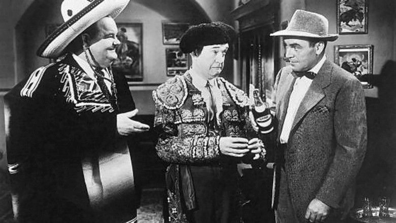 кадр из фильма Тореадоры