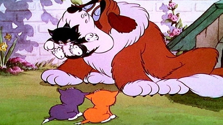 кадр из фильма More Kittens