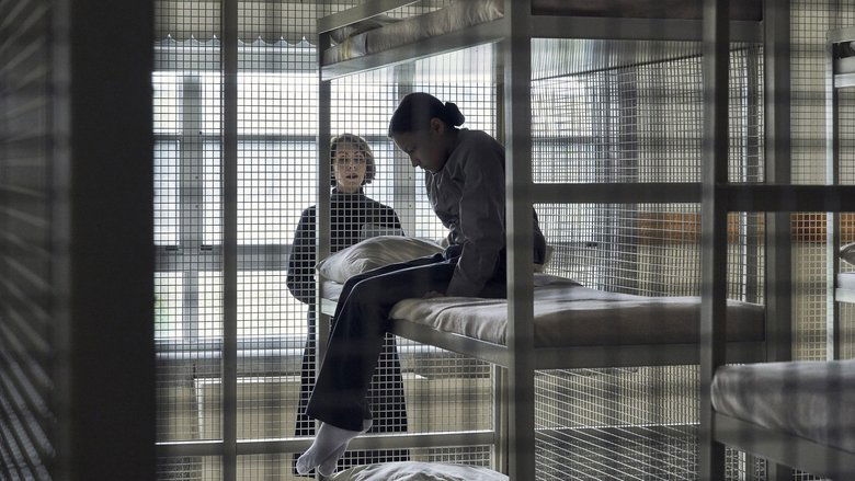 Ночные налётчики