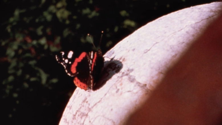 кадр из фильма Arbor Vitae