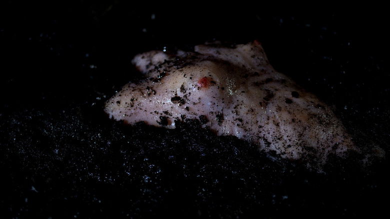 кадр из фильма Tomorrow I Will Be Dirt