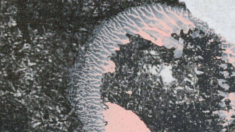 кадр из фильма Berro