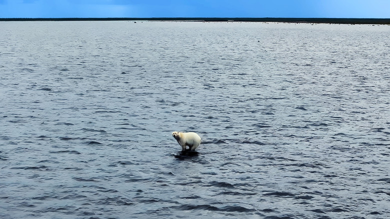 кадр из фильма 극장판 고래와 나