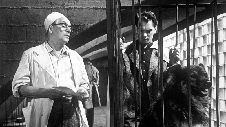 кадр из фильма Девять дней одного года