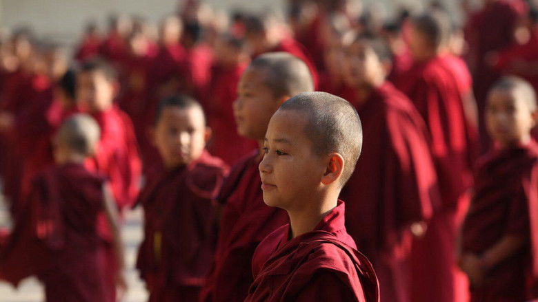 кадр из фильма Шафрановое сердце