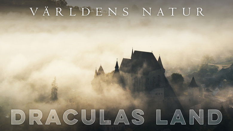 кадр из фильма Transylvanie, un bestiaire fantastique