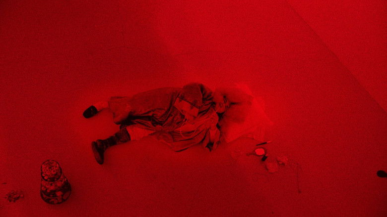 кадр из фильма Roi Soleil