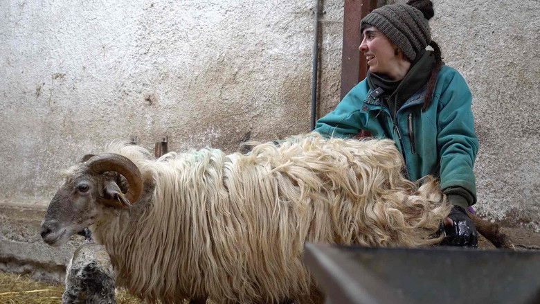 кадр из фильма Latxa