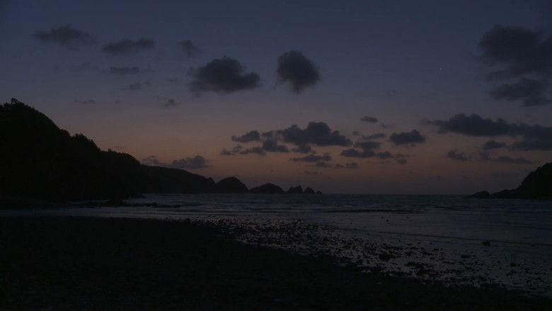 кадр из фильма KOTOKO