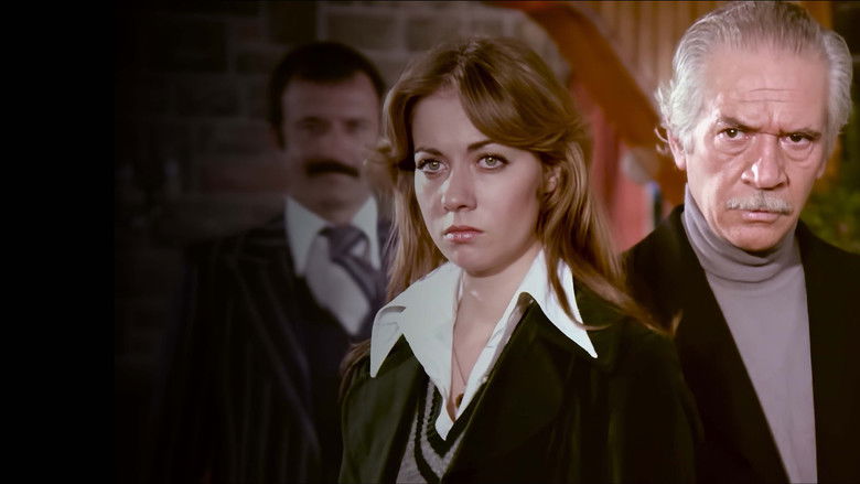 кадр из фильма Benim Gibi Sevenler