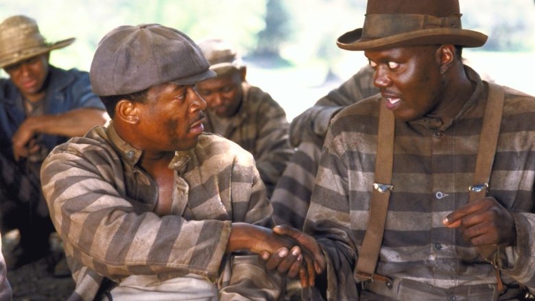 кадр из фильма Пожизненно!