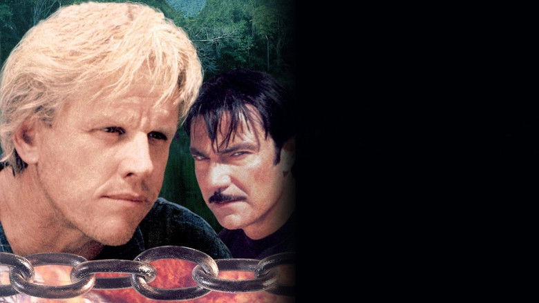 кадр из фильма Цепь