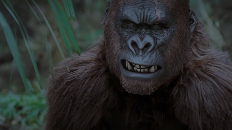 кадр из фильма 野王