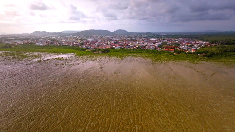 кадр из фильма Aux origines, l'esclavage