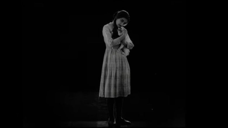 кадр из фильма Дело Тариэла Мклавадзе