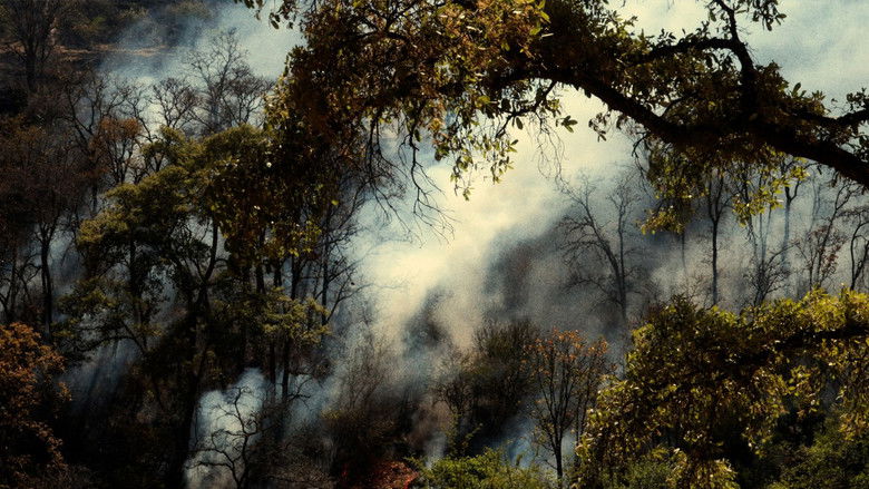 кадр из фильма ITERACIÓN