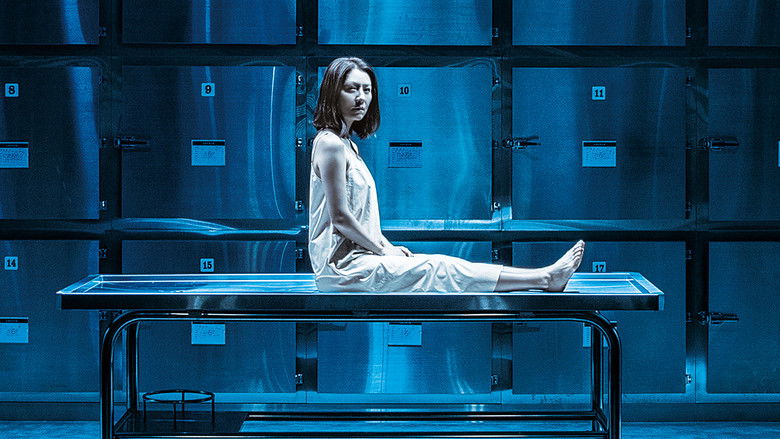 кадр из фильма Потерянная ночь