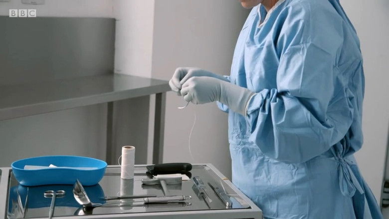 кадр из фильма Obesity: The Post Mortem