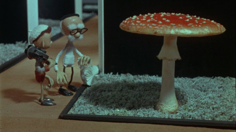 кадр из фильма Оператор Кыпс в стране грибов