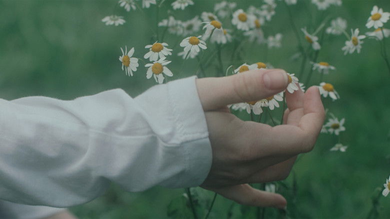 кадр из фильма Still Life