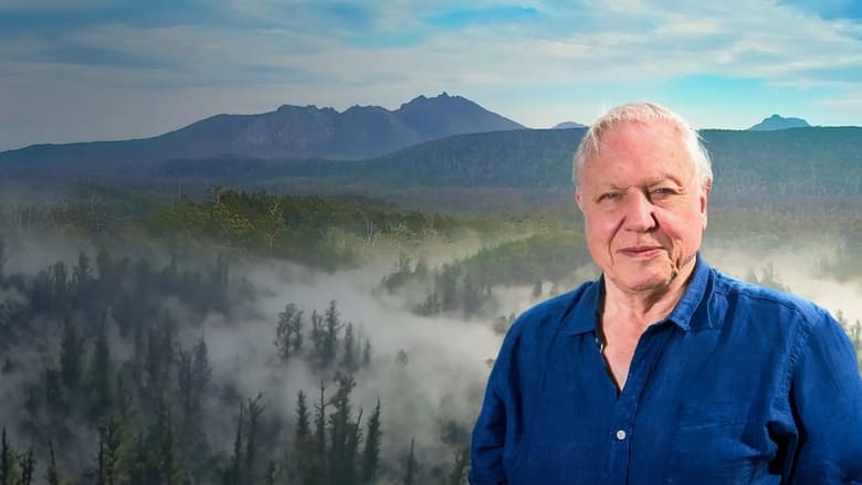 кадр из фильма David Attenborough's Tasmania