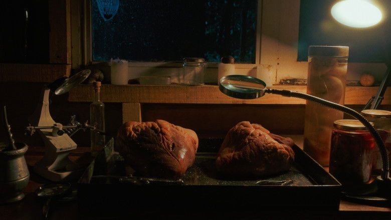 кадр из фильма De ningún lado del todo