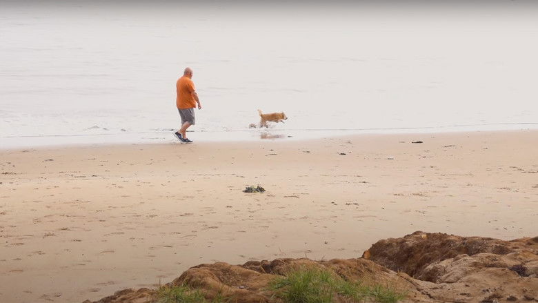 кадр из фильма The Pebble