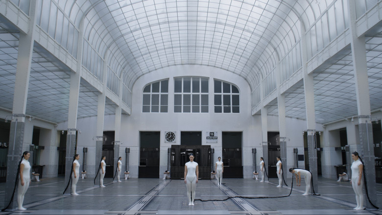 кадр из фильма Memory of a Mycelium