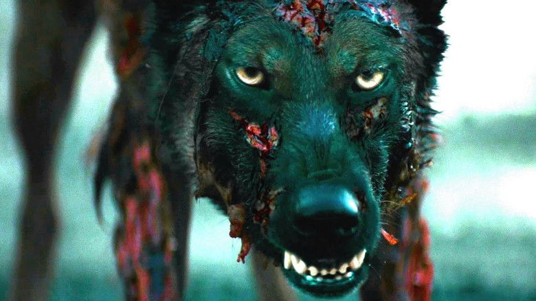 кадр из фильма Лихорадка