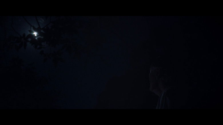 кадр из фильма Little Star