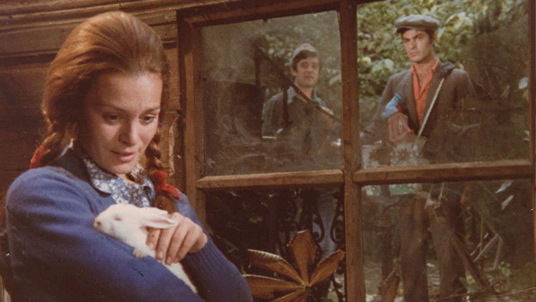 кадр из фильма Üç Arkadaş