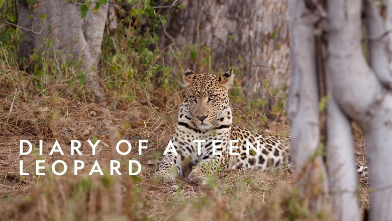 кадр из фильма Diary of a Teen Leopard