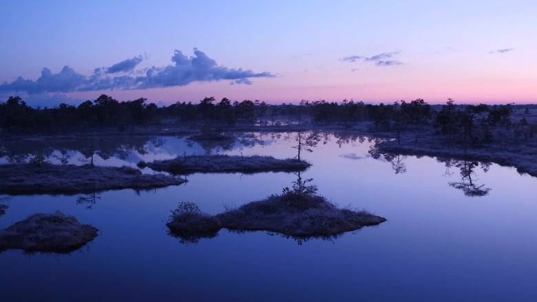 кадр из фильма Tuulte tahutud maa