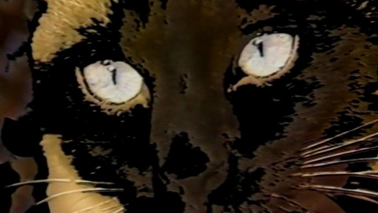 кадр из фильма Duo des Chats