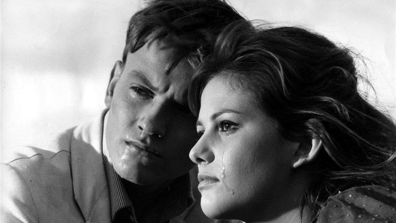 кадр из фильма Девушка с чемоданом