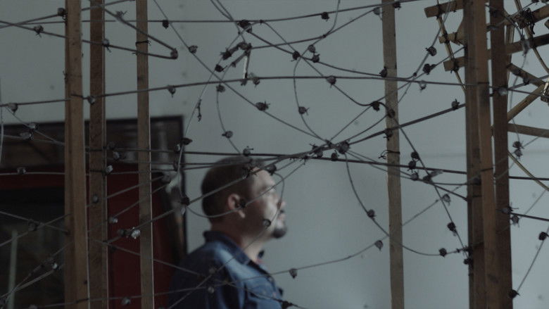 кадр из фильма Todos Los Fuegos