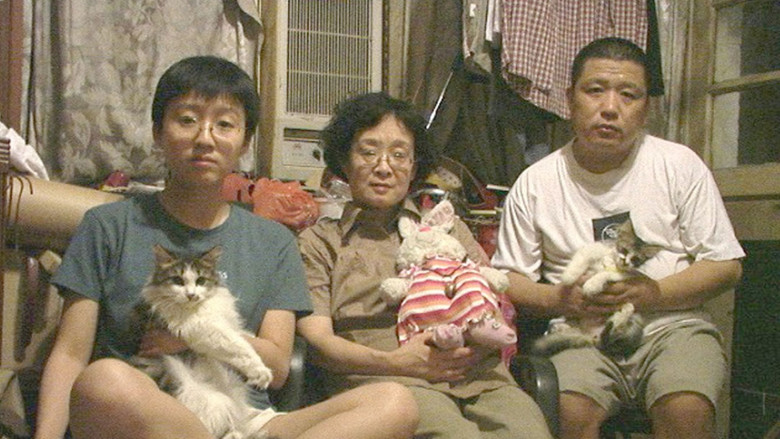 牛皮