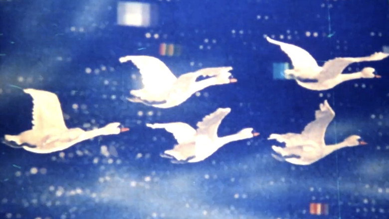 кадр из фильма The Ugly Duckling