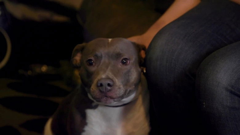 кадр из фильма Behind Closed Doors