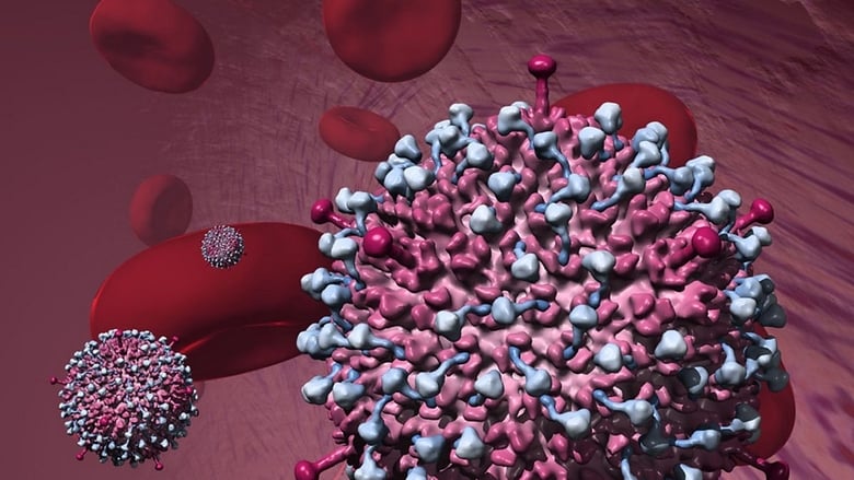 кадр из фильма Почему вирусы убивают?